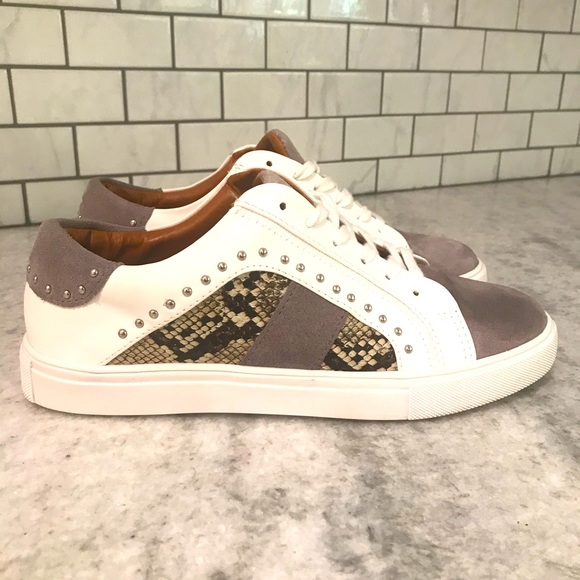 steve madden python sneakers